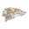 RAMRODZ INC. .30 CALIBER RAMRODZ