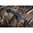 MOUNTAIN TACTICAL T3/T3X LA AICS BOTTOM METAL