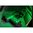 VIRIDIAN C5L MICRO GREEN LASER SIGHT W/550 LUMEN WEAPON LIGHT BLACK