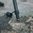 Spartan Javelin Pro Hunt Tac Bipod - Standard